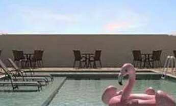 Imagem 2: Terrazo Di Dante , 55m², 2 quartos - São José dos Campos - SP