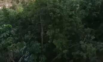 Imagem 7: LINDO APTO. NA VL. GALVÃO COM MÓVEIS PLANEJADOS