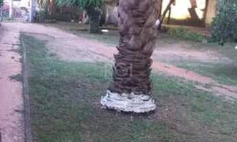 Imagem 7: CASA EM 2 TERRENOS NO BAIRRO MEDIANEIRA