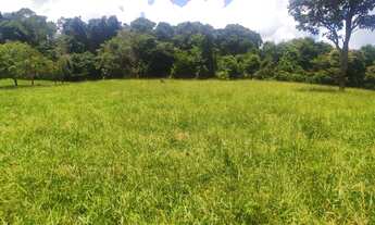 Imagem 4: Vende-se chácara de 06 alqueires em Itauçu-Go