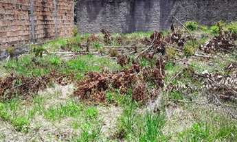 Imagem 3: Terreno guaimbim Bahia escriturado