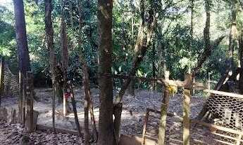 Imagem 4: Chacara de 5mil m² com rica área verde de mata atlântica