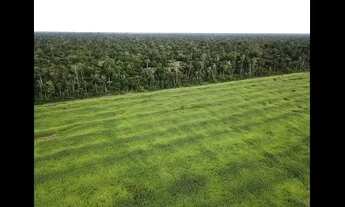Imagem 5: Fazenda para venda tem 2.210.000 Hectares em Tomé-Açú - PA