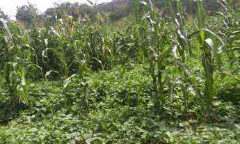 Imagem 4: Fazenda para Venda em São Braz do Piauí