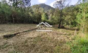 Imagem 3: Belo terreno em declive a venda em Picada Café na Serra Gaúcha