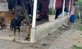 Imagem 4: TROCA-SE, OU ACEITA PROPOSTA