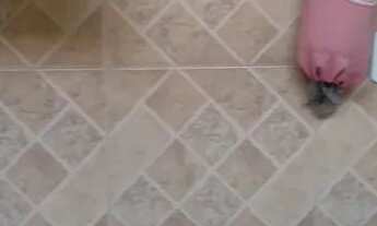 Imagem 7: Kitinete em Local Privilegiado