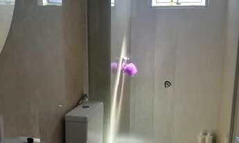 Imagem 3: Aluguel Apartamento com 2 dormitórios