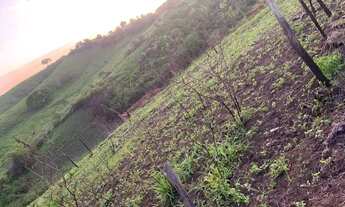 Imagem 3: Terreno 7x35 Terreno / lote com venda por R$13.000
