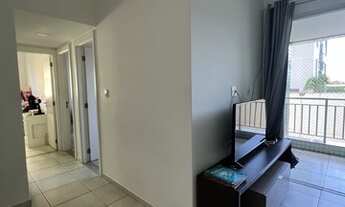 Imagem 4: Altos do farol leste