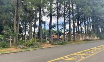 Imagem 6: Terreno - Parque Taquaral - Campinas