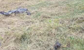 Imagem 5: Terreno no sítio