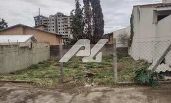 Imagem 3: Terreno - Nova Campinas - Campinas