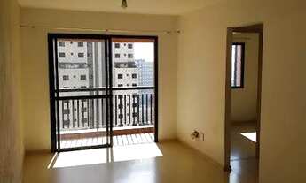 Imagem: Apartamento para aluguel tem 60 metros quadrados