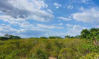 Imagem 3: VENDO 56 TAREFAS NO DISTRITO DE MATINHA