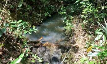 Imagem 4: Terreno rural 7.8ha, casa antiga, barracão, arvores frutíferas, 2 nascentes,2 lagoas