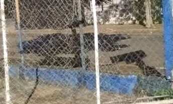 Imagem 3: Vendo lava rápido funcionando