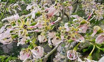 Imagem 3: Apartamento em Petrópolis