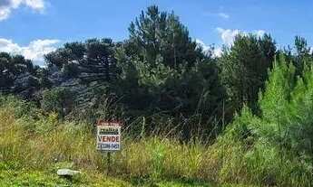 Imagem 3: Terreno à Venda em Gramado no Loteamento Marsal!