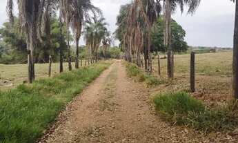 Imagem 4: Fazendinha em Hidrolândia-go