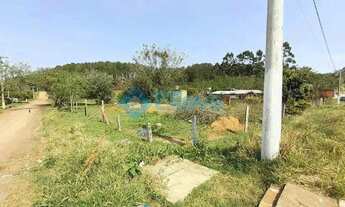 Imagem 3: Terreno à Venda - Mato Alto