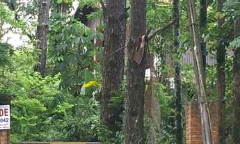 Imagem 6: Terreno Lote para Venda em Maria Mercedes Santana de Parnaíba-SP