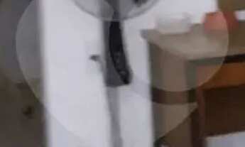 Imagem 3: Terreno com 1 quartos à venda em Vila Bonilha - SP