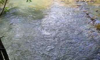 Imagem 2: Sitio 22 hectares valor 195.000