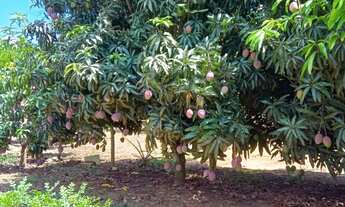 Imagem 6: Linda chácara em Bonfinópolis go