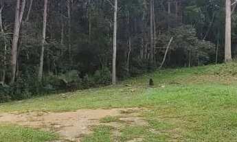 Imagem 2: Terreno de 7804.85m² no bairro Saco Grande