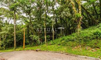 Imagem: TERRENO CONDOMÍNIO PINHEIRO GROSSO