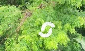 Imagem 5: Terreno à venda, 890 m² por R$ 315.000,00 - Charitas - Niterói/RJ