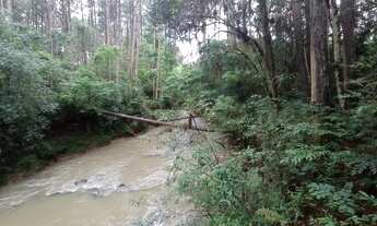 Imagem 2: Área para chácara