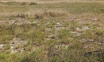 Imagem 4: Vendo excelente área industrial, na RJ 240 Campo da Praia