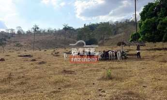 Imagem 2: Fazenda 16,6 alqueires (80,3 hectares) Pirenópolis - GO