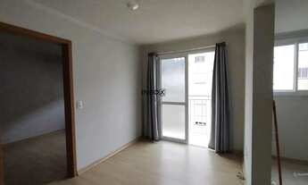 Imagem 6: APARTAMENTO DE 2 QUARTOS NO BAIRRO APARECIDA