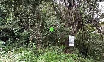 Imagem 3: Lote em Residencial Riviera