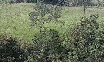 Imagem: Vende-se fazenda 173hectares e presidente