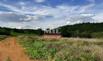Imagem 5: Fazenda 191,5 alqueires (926,86 hectares) São Miguel Do Passa Quatro - Go