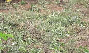 Imagem: Ótima Oportunidade