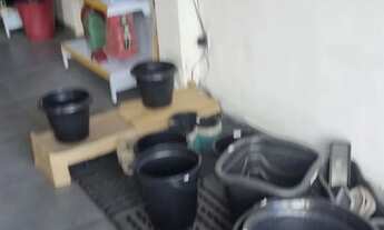 Imagem 6: Ponto comercial em Iraja colado no BRT