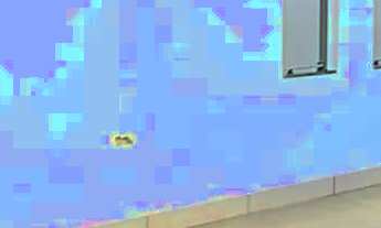 Imagem 3: Casa á venda com 2 suítes no Portal Panamá em Campo Grande - MS