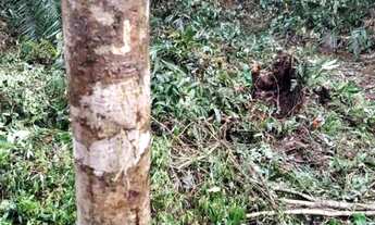 Imagem 3: 8 mil mts com.agua propria apenas 63mil reais