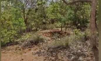 Imagem 4: FAZENDA - 1.500 HECTARES