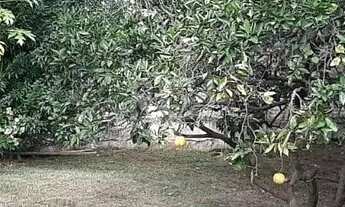 Imagem 2: CASA EM 2 TERRENOS NO BAIRRO MEDIANEIRA