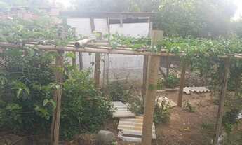 Imagem 6: Vende-se chácara para moradia - Parque Cruzeiro do Sul