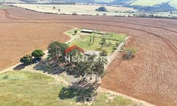 Imagem 5: Sítio em Rua Onze de Agosto - Centro - Tatuí/SP