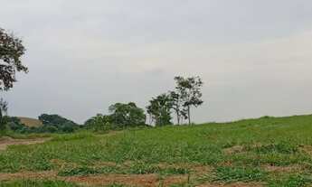 Imagem 3: Invista Bem: Terreno no Recanto Ipê com Ótima Localização