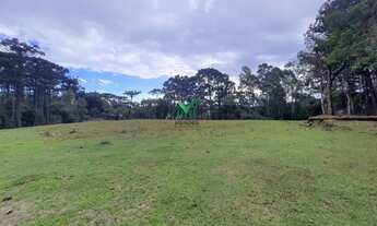 Imagem 4: TERRENO INDUSTRIAL ATTILO CITTON