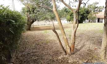 Imagem 6: TERRENO EM CONDOMÍNIO - CLUBE DE CAMPO VALINHOS - SP